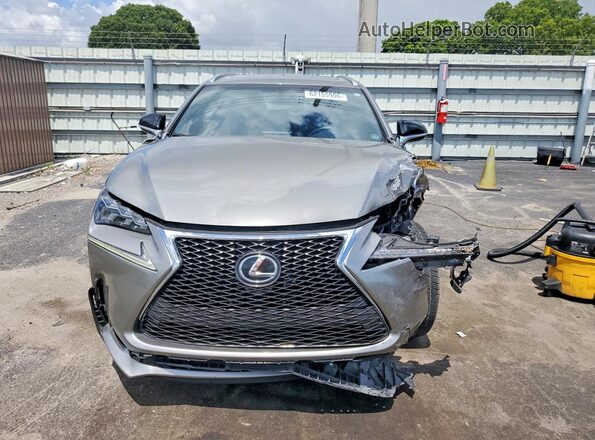 JTJYARBZ1G2026490 2016 LEXUS NX Серебряный Вид спереди