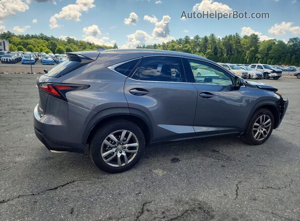 JTJYARBZ1G2034007 2016 LEXUS NX Gray Задня права чверть