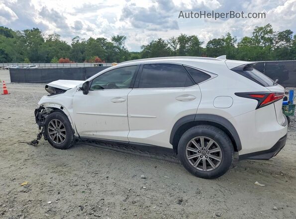 JTJYARBZ1J2088916 2018 LEXUS NX White Հետևի ձախ