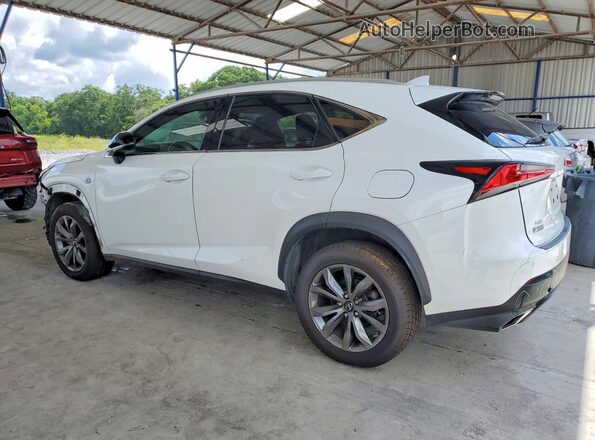 JTJYARBZ1J2091329 2018 LEXUS NX White Tył lewy