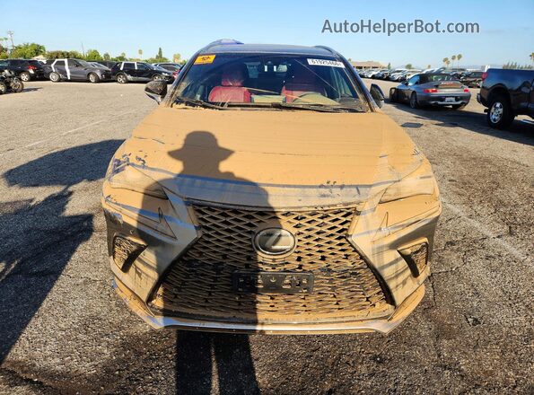 JTJYARBZ1J2092884 2018 LEXUS NX Silver Widok z przodu
