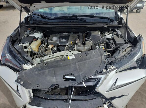 JTJYARBZ2G2031343 2016 LEXUS NX White Вид задньої частини салону