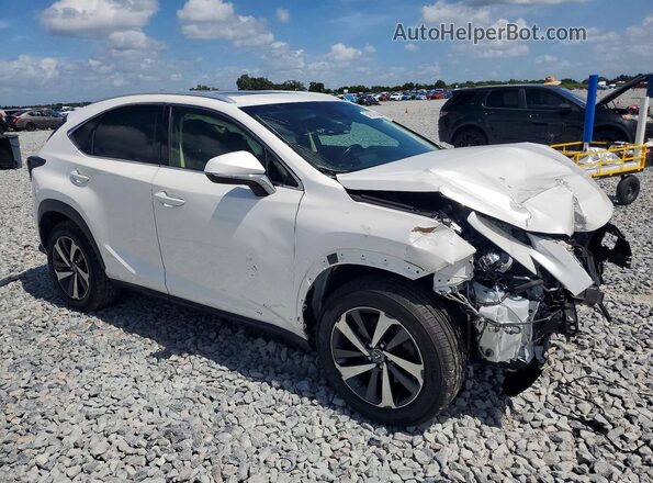 JTJYARBZ2J2093588 2018 LEXUS NX White Առջևի աջ