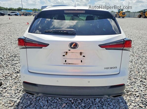 JTJYARBZ2J2093588 2018 LEXUS NX White Հետևի տեսք