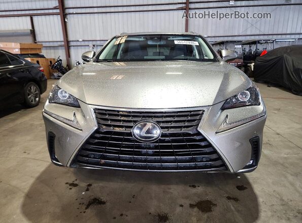 JTJYARBZ2K2134769 2019 LEXUS NX Silver წინა ხედი