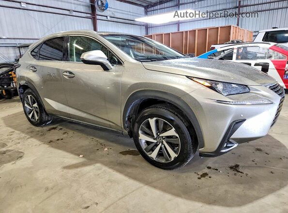 JTJYARBZ2K2134769 2019 LEXUS NX Silver წინა მარჯვენა