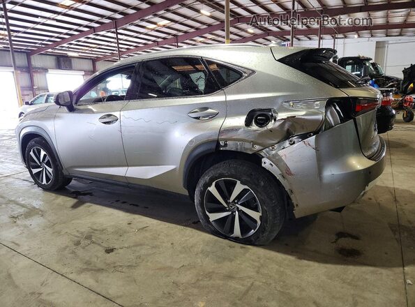 JTJYARBZ2K2134769 2019 LEXUS NX Silver უკანა მარცხენა