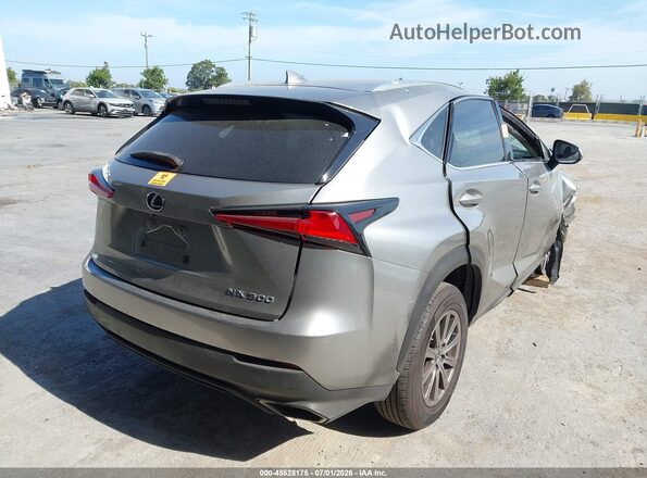 JTJYARBZ3K2140371 2019 LEXUS NX 300 Silver უკანა მარჯვენა
