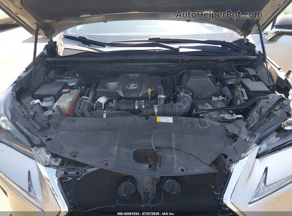 JTJYARBZ4G2035121 2016 LEXUS NX 200T Silver უკანა ხედი