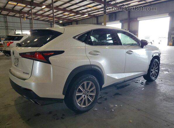 JTJYARBZ4K2129721 2019 LEXUS NX White Tył prawy