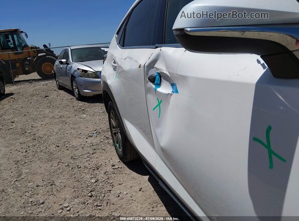 JTJYARBZ4K2154568 2019 LEXUS NX 300 Белый 
