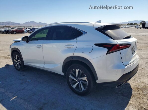 JTJYARBZ5K2135303 2019 LEXUS NX White Tył lewy