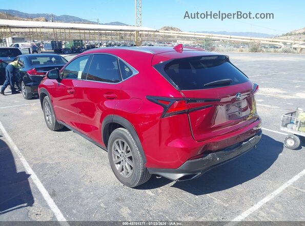JTJYARBZ6K2118137 2019 LEXUS NX 300 Red Tył lewy