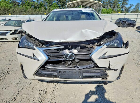 JTJYARBZ7G2043441 2016 LEXUS NX White Դիմացի տեսք
