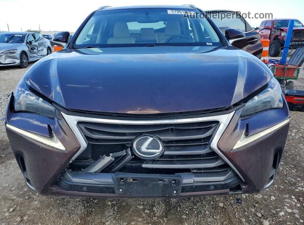 JTJYARBZ8G2022114 2016 LEXUS NX Burgundy Вид спереду