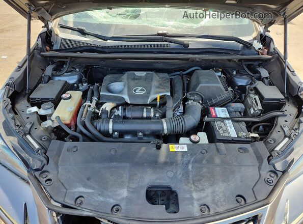 JTJYARBZ8J2087570 2018 LEXUS NX Charcoal Սալոնի հետևի տեսք