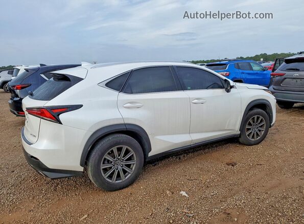 JTJYARBZ8J2098987 2018 LEXUS NX White Հետևի աջ