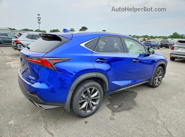 JTJYARBZ8K2129673 2019 LEXUS NX Blue Tył prawy
