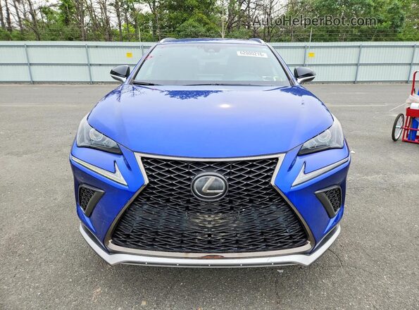 JTJYARBZ8K2129673 2019 LEXUS NX Blue Widok z przodu