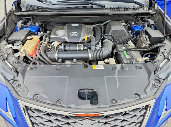 JTJYARBZ8K2129673 2019 LEXUS NX Blue Widok komory silnika