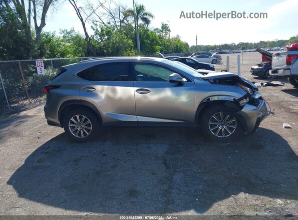 JTJYARBZ8K2154671 2019 LEXUS NX 300 Gray Вид задньої частини салону