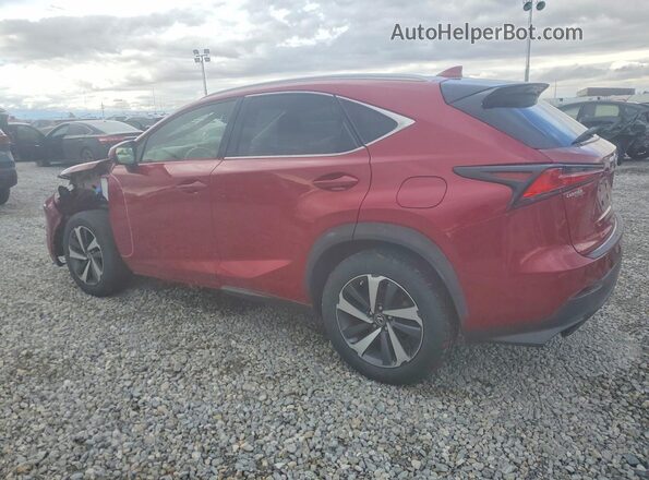 JTJYARBZ9J2114209 2018 LEXUS NX Red Задня ліва чверть