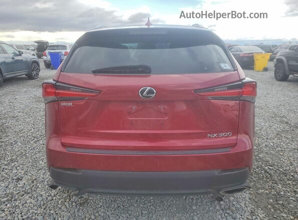 JTJYARBZ9J2114209 2018 LEXUS NX Red Вид ззаду