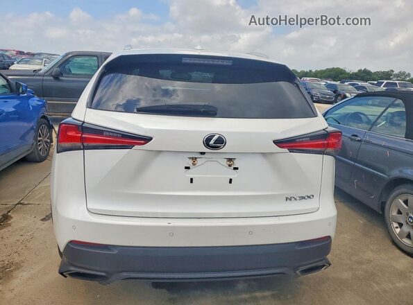 JTJYARBZ9K2129701 2019 LEXUS NX White Հետևի տեսք
