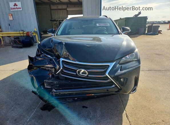 JTJYARBZXG2034054 2016 LEXUS NX Black Դիմացի տեսք