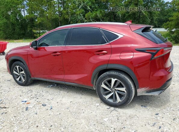 JTJYARBZXJ2092088 2018 LEXUS NX Red Trasero izquierdo