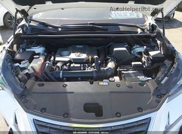 JTJYARBZXK2151187 2019 LEXUS NX 300 Белый Вид сзади