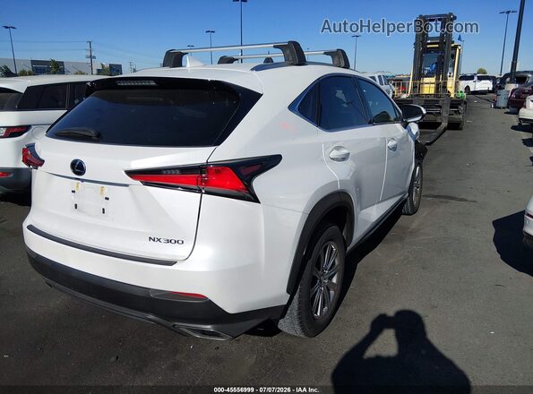 JTJYARBZXK2151187 2019 LEXUS NX 300 Белый Задняя правая четверть