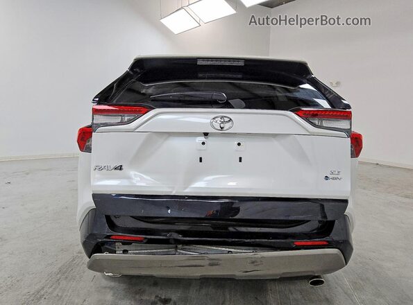JTM16RFV3SD169810 2025 TOYOTA RAV4 Белый Вид сзади
