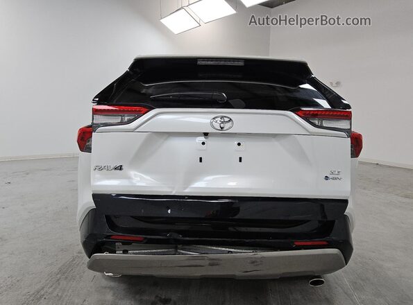 JTM16RFV3SD169810 2025 TOYOTA RAV4 Белый 