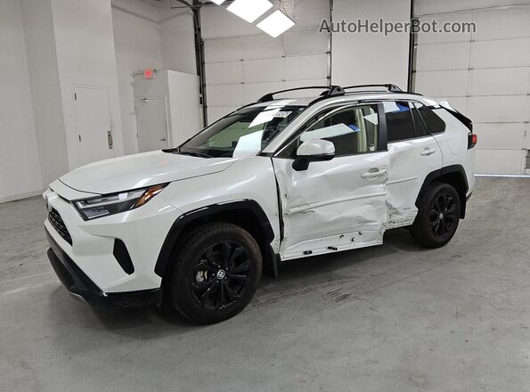 JTM16RFV3SD169810 2025 TOYOTA RAV4 Белый 
