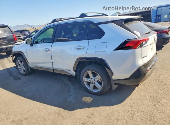 JTM16RFV6PD102044 2023 TOYOTA RAV4 White Rear left