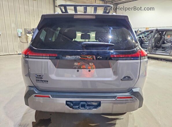 JTM6CRAV2TD000787 2026 TOYOTA RAV4 Серый Вид сзади