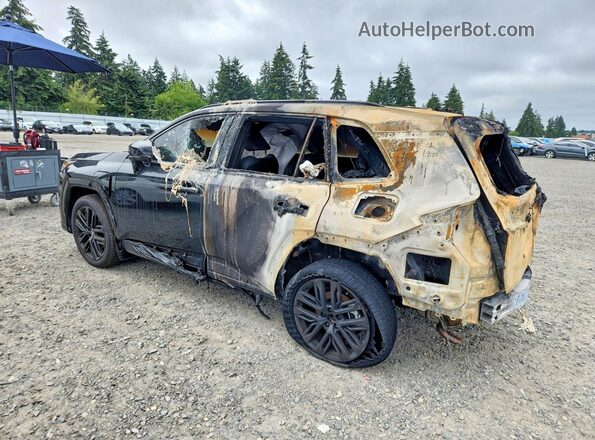JTM7ERAV7TJ000820 2026 TOYOTA RAV4 Черный Задняя левая четверть