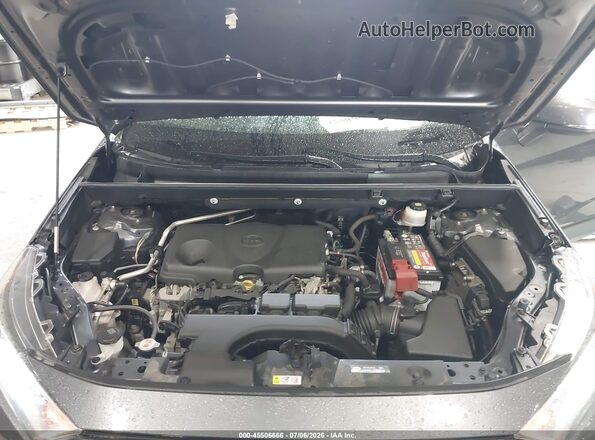 JTMA1RFV2KD010422 2019 TOYOTA RAV4 Gray უკანა ხედი