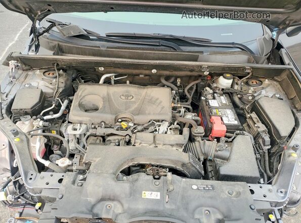 JTMA1RFV7LD525868 2020 TOYOTA RAV4 Gray Vista del compartimento del motor