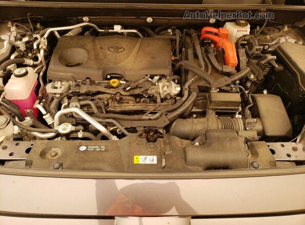 JTMAB3FV8PD113426 2023 TOYOTA RAV4 Серый Вид задней части салона
