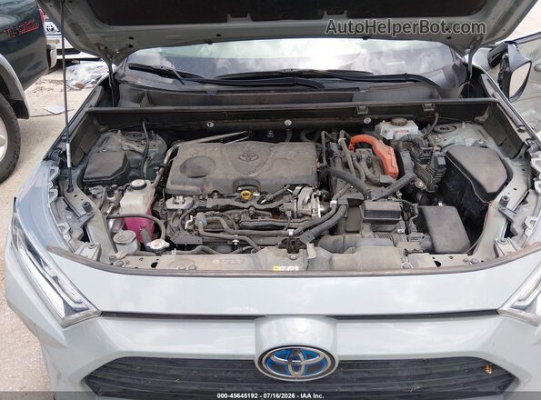 JTMB6RFV0MD504710 2021 TOYOTA RAV4 HYBRID Pewter Widok z tyłu