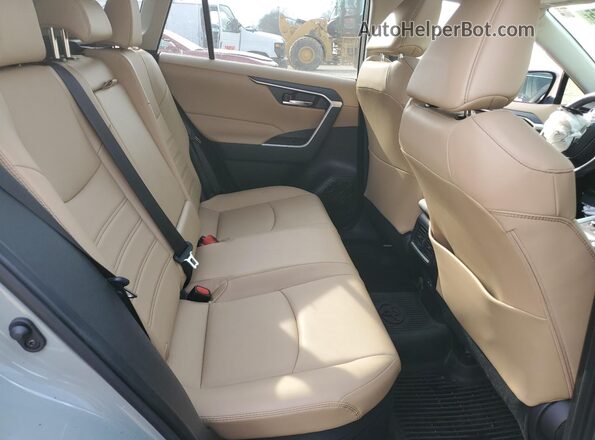 JTMB6RFV6PD086089 2023 TOYOTA RAV4 Gray Սալոնի հետևի տեսք