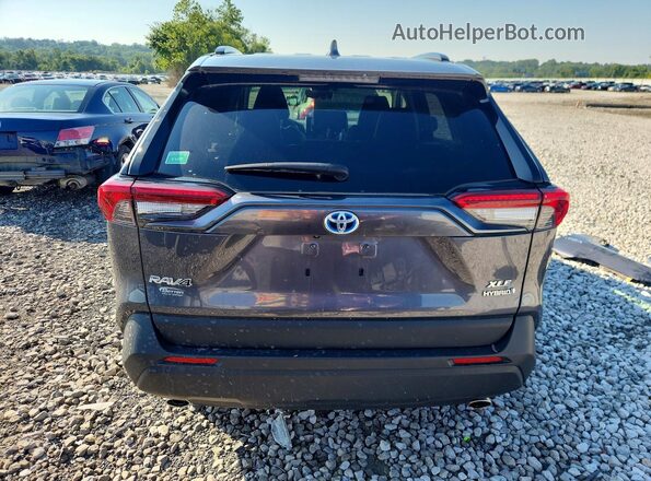 JTMB6RFV7MD045093 2021 TOYOTA RAV4 Gray უკანა ხედი