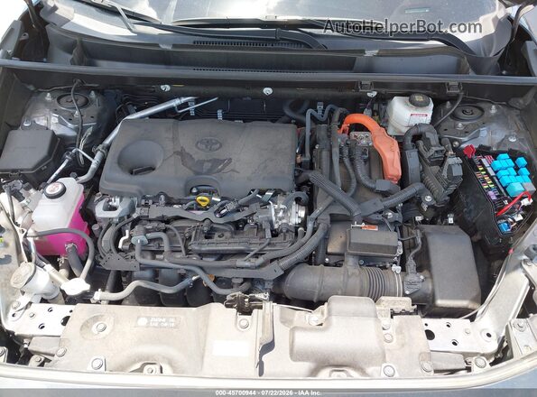 JTMB6RFV8PD100431 2023 TOYOTA RAV4 HYBRID Gray Widok z tyłu