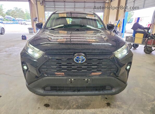 JTMB6RFV9PD087012 2023 TOYOTA RAV4 Черный Вид спереди