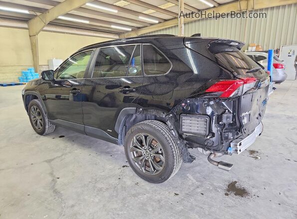 JTMB6RFV9PD087012 2023 TOYOTA RAV4 Черный Задняя левая четверть