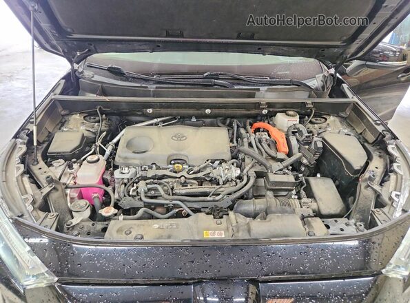 JTMB6RFV9PD087012 2023 TOYOTA RAV4 Черный Вид подкапотного пространства