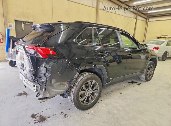 JTMB6RFV9PD087012 2023 TOYOTA RAV4 Черный Задняя правая четверть