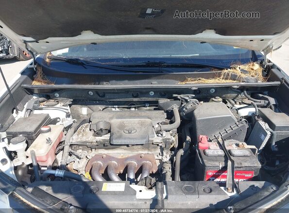 JTMBFREV1GJ065122 2016 TOYOTA RAV4 Белый Вид сзади